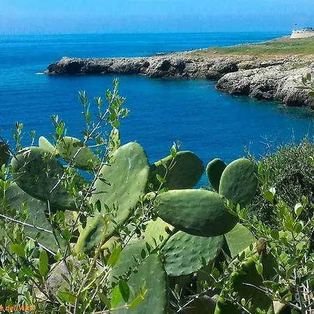 Casa Vacanze